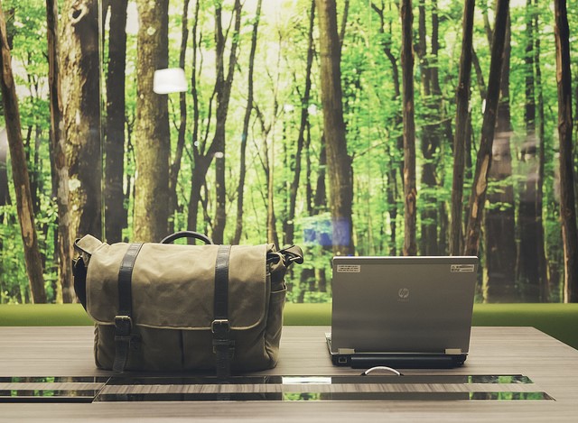 The greener the office, the greater your productivity