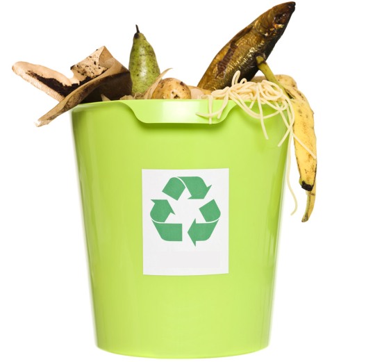 recycling of food waste