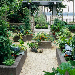 raised-bed-garden