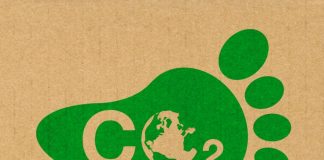 5 Ways You Can Contribute Toward Bringing Down Carbon