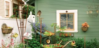 6 Tips to Make Your Home More Greener
