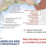 american bird conservancy1