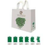 green bags 1