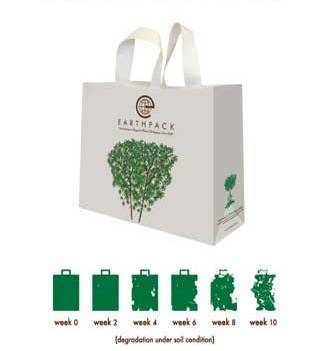green bags 1