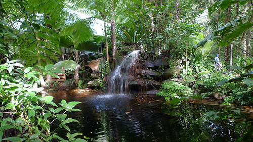 Eco SPA