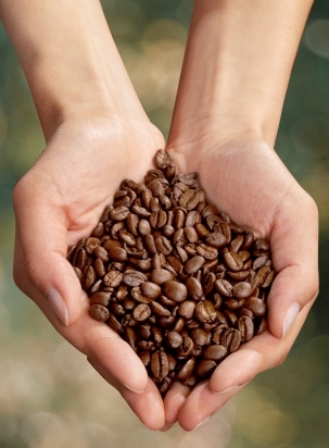 Tips to Buy Sustainable Coffee