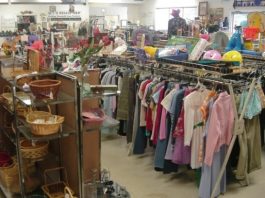 Why Should You Buy from a Thrift Shop