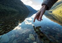 How to Maintain Ecological Balance