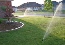 best tips for an eco-friendly summer