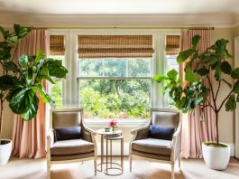 window tips for green homes