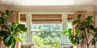 window tips for green homes