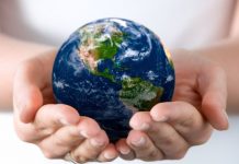 connection of meat consumption to global warming