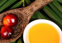 negative effects of palm oil on our environment