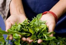 benefits of organic farming