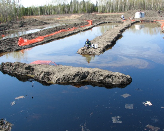 know about bioremediation