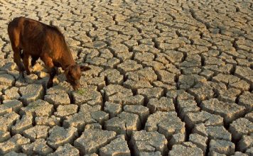 solutions to deal with droughts for farmers