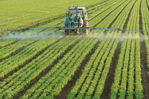 Five ways in which factory farming destroys nature