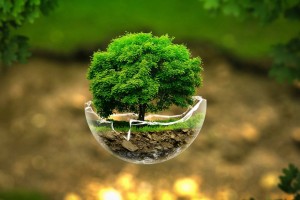 Seven Different Ways to Celebrate the Earth Day