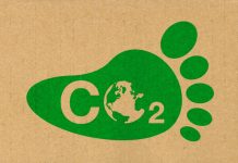 5 Ways You Can Contribute Toward Bringing Down Carbon