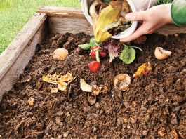 5 Ways You Can Make Your Own Compost Pit