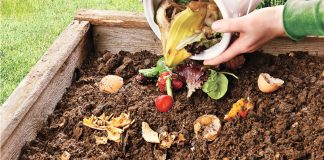 5 Ways You Can Make Your Own Compost Pit