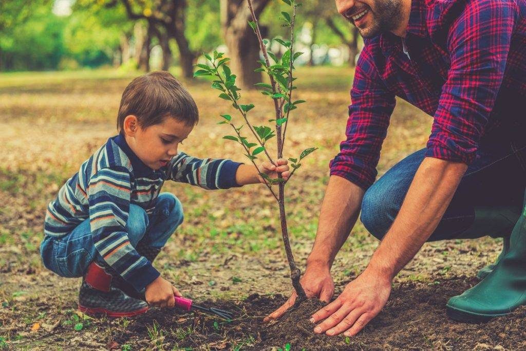 Saving Cost with Eco-Friendly Lifestyle
