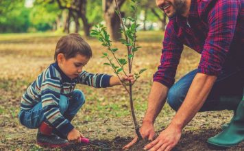 Saving Cost with Eco-Friendly Lifestyle